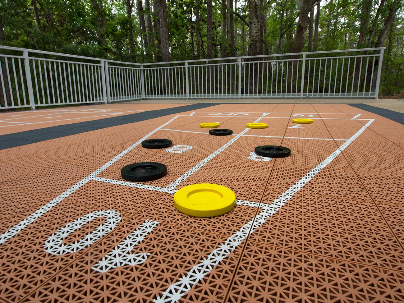Shuffleboard Court